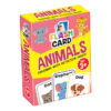 Flash Card Animals